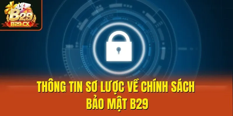 Thông tin sơ lược về chính sách bảo mật B29