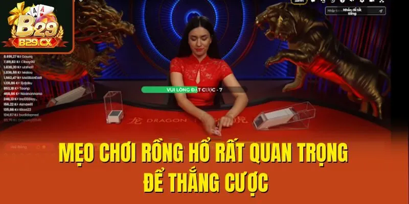 Mẹo chơi Rồng Hổ rất quan trọng để thắng cược